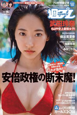 速度与激情5详情介绍